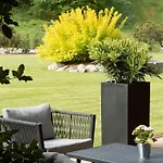 Domaine De Montagne - Frere Joseph 旺特龙