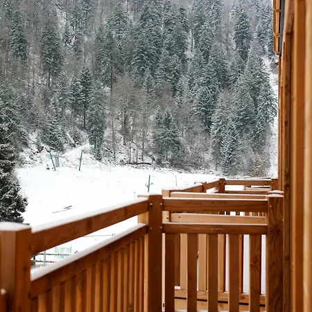 Domaine De Montagne - Frere Joseph Ventron