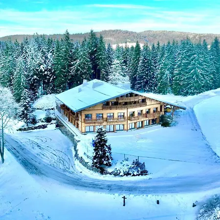 Отель Domaine De Montagne - Frere Joseph 4*