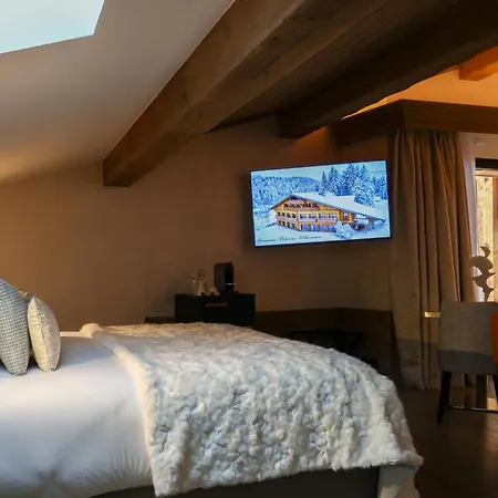 Domaine De Montagne - Frere Joseph 4* Вантрон