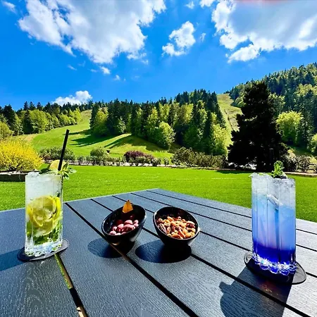 Hotel Domaine De Montagne - Frere Joseph Ventron