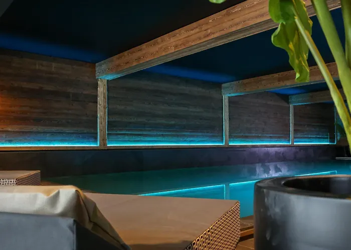 Отель Domaine De Montagne - Frere Joseph