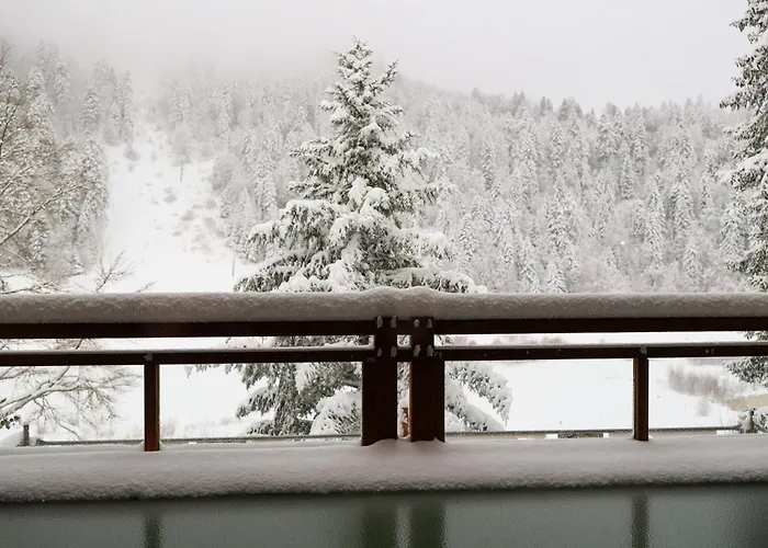 Отель Domaine De Montagne - Frere Joseph 5*