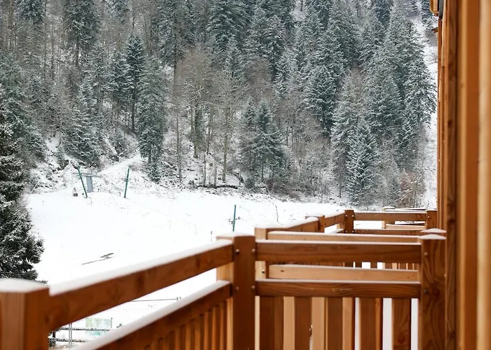 Domaine De Montagne - Frere Joseph Ventron