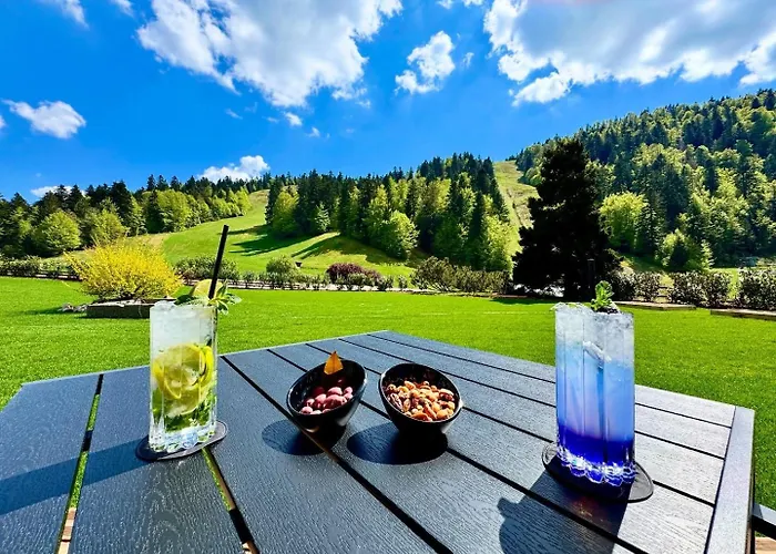 Отель Domaine De Montagne - Frere Joseph Вантрон