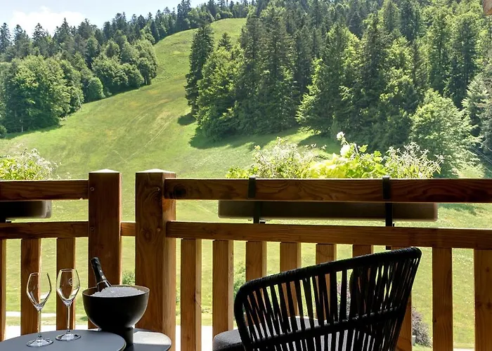 Hotel Domaine De Montagne - Frere Joseph