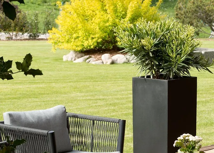 Domaine De Montagne - Frere Joseph Ventron